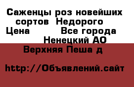 Саженцы роз новейших сортов. Недорого. › Цена ­ 350 - Все города  »    . Ненецкий АО,Верхняя Пеша д.